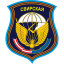 98-я гвардейская воздушно-десантная дивизия