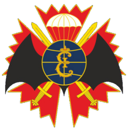 127-я отдельная гвардейская бригада разведки