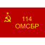 114-я отдельная гвардейская мотострелковая бригада
