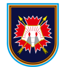 14-я отдельная гвардейская бригада специального назначения