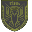 428-й отдельный батальон беспилотных систем «Тень»
