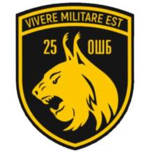 25-й отдельный штурмовой батальон