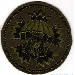 346-я отдельная гвардейская бригада специального назначения