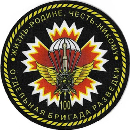 100-я отдельная гвардейская бригада разведки