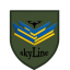 432-й отдельный батальон беспилотных систем «Skyline»